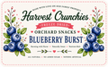 Blueberry Burst - Freeze-Dried Fruit Snack