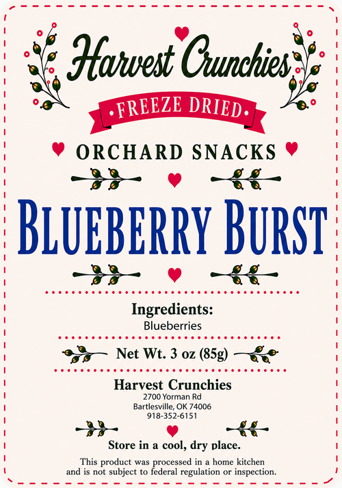 Blueberry Burst - Freeze-Dried Fruit Snack
