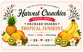 Tropical Sunshine - Freeze-Dried Fruit Snack